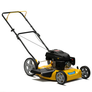 CORTADORA NAFTA GSA22 FORMULA SEVERBON 002265