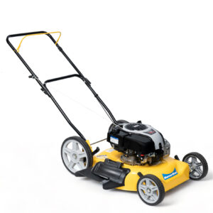 CORTADORA NAFTA GSA22 BRIGSS R14 SEVERBON 002327