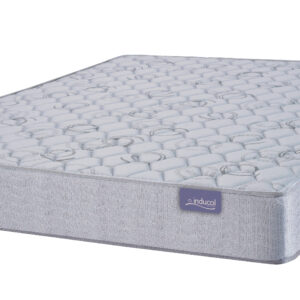 COLCHON ESPUMA 1.40 X 20 LINEA DORADA