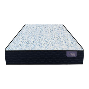 COLCHON ESPUMA 90 X 20 LINEA DORADA INDUCOL