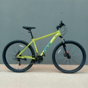 BICICLETA MTB R29  RDI DISCOVERY