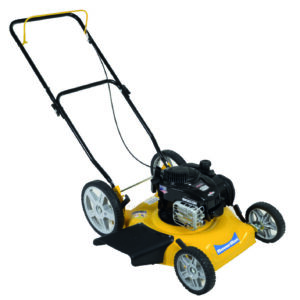 CORTADORA NAFTA GS20 BRIGGS SEVERBON 002102