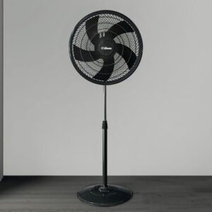 VENTILADOR PIE LILIANA  VVP20P 20